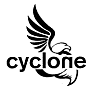 Cyclone fans