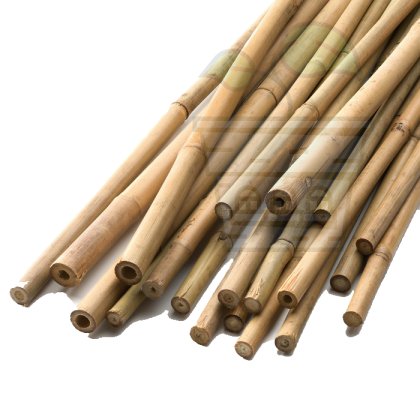 Bamboo Stick 122cm ⌀ 12/14mm 1pc