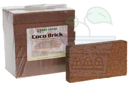BN Coco - Brick