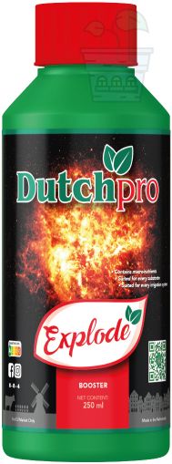 Dutchpro Explode 250ml
