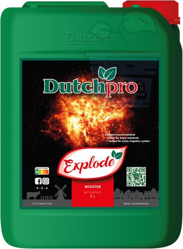 Dutchpro Explode 5l.