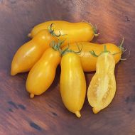 Pulpe de banană - 15 semințe - Tomate