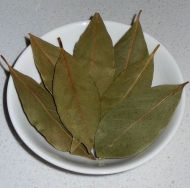Ловоров лист (Laurus nobilis) - 5семиња