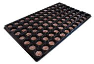 Jiffys 41mm  60 Cell Tray for Jiffys-7