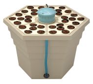 Aeroponic system GHE RainForest 2 with 36 slots 12V