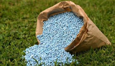 Types of fertilizers and their features