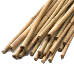 Cuie din bambus 183cm ⌀ 12/14mm 1 buc.