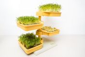 Babylon Garden hydroponic system for homes, 4 weekly harvests of sprouts or microgreens, smart app + GIFT