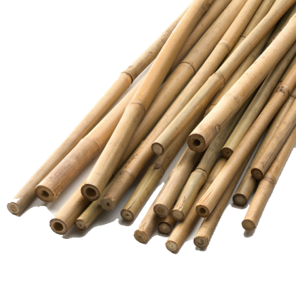Bamboo Stick 213cm ⌀ 15/17mm 1pc for plants and vegetables