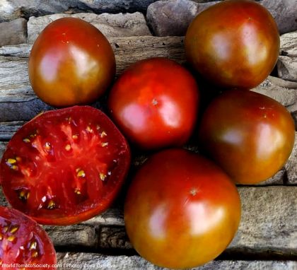 "Brazilian Beauty" Tomatoes 15 seeds
