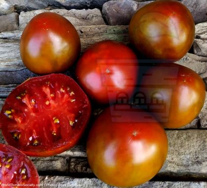 Brazilian Beauty - 15 seeds - Tomato