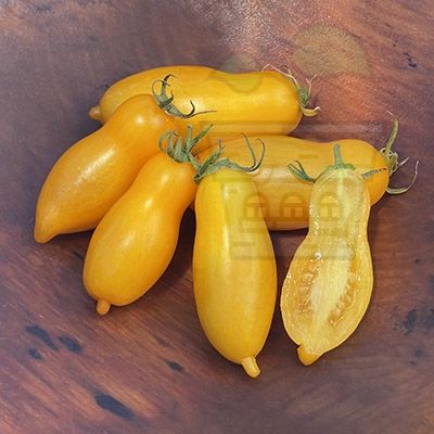 Μπανάνα Μπούτια - 15 σπόροι - Ντομάτα