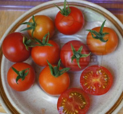 Mexican Honey - 15 seeds - Tomato