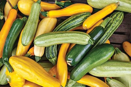 Zucchini seeds (mix) 40 pcs