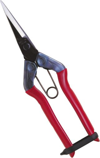 Professional garden shears for picking fruits, vegetables and flowers, 185 mm - CHIKAMASA T-550