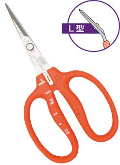 Professional garden scissors for picking grape, 150 mm - CHIKAMASA B-250 L (curved blade)