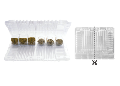 Транспортна опаковка за разсад 24x29x5 cm