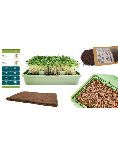 Babylon Garden hydroponic system for homes, size XS, 1 weekly harvests of sprouts or microgreens, smart app + GIFT