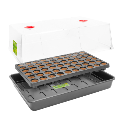 ROOTiT Dry Peat Free 60 Комплект Мини оранжерия с тавичка със субстрат 60 гнезда