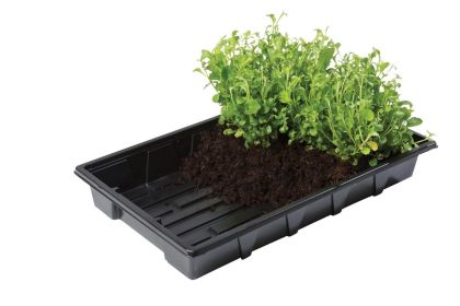 Garland Professional Gravel tray - тава за вкореняване и разсад, 37 x 23.5 х 6 см (без дупки)