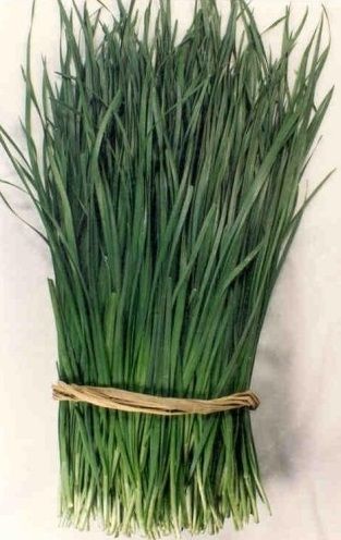 Chinese chives seeds - 750 pcs (2.5 g)