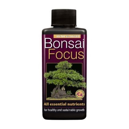 Bonsai Focus. - тор за Бонсай