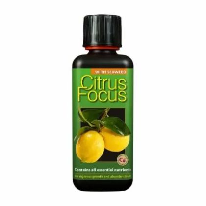 Citrus Focus - Тор за Цитрусови Плодове