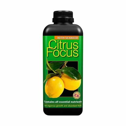 Citrus Focus - Тор за Цитрусови Плодове