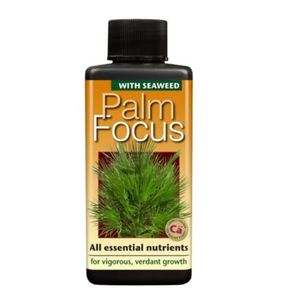 Palm Focus - fertilizer for palm plants