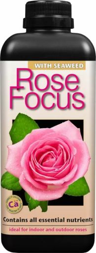 Rose Focus - Тор за Рози