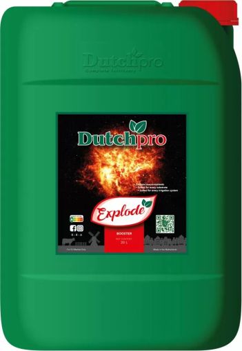 Dutchpro Explode - цъфтежен бустер (за максимални добиви)