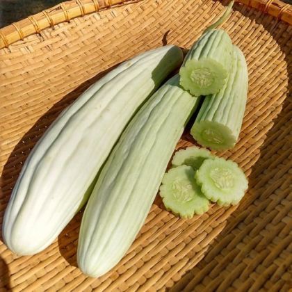 Семена от Пъпешова краставица "Тортарело Абруцезе" (MELON CUCUMBER) 100 броя