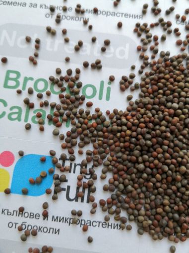 Broccoli Calabrese microgreen seeds 150 g