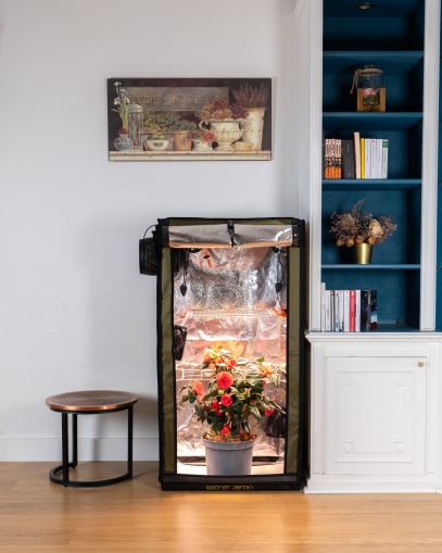 For Twenty 100 - пълен комплект домашна оранжерия