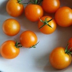 Чери домати - Aurantiacum - 25 семена