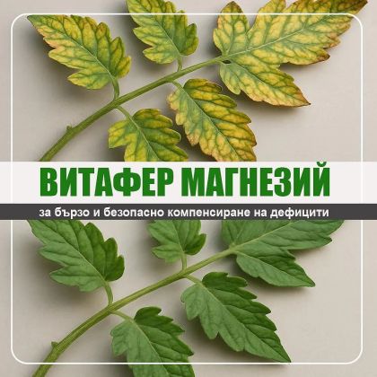 Fertilizer with more magnesium - 1l