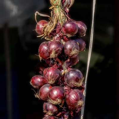 Tropea Rossa Tonda Sweet Red Onion Seeds - 5 g