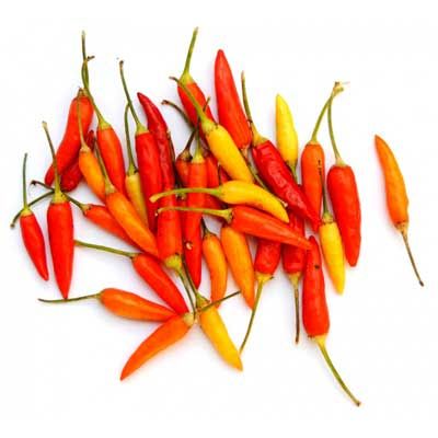 Nepali Orange - 15 pcs. seeds