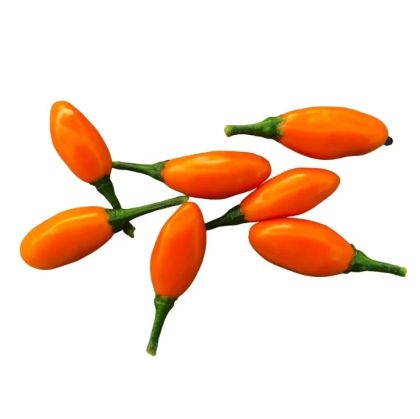 Пимента Ла Макарена (Pimenta La Macarena) - 15 бр. семена