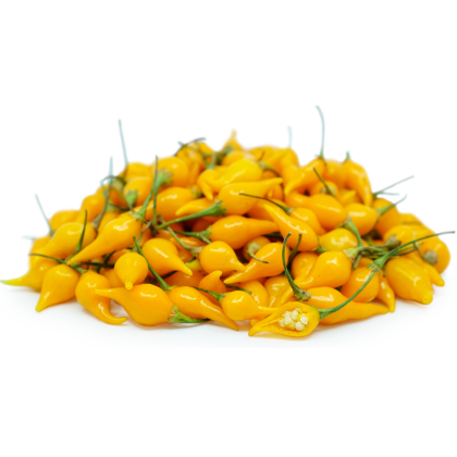 Yellow beak (Biquinho Amarela) - 15 seeds