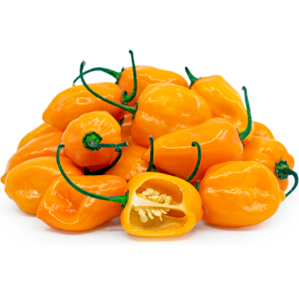 Хабанеро Оранжево (Habanero Orange) - 15 бр. семена
