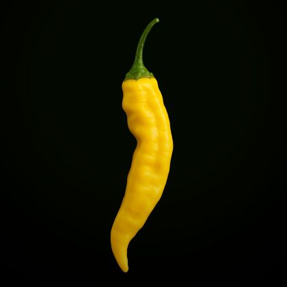 Ахи Ананас (Aji Pineaple) - 15 бр. семена