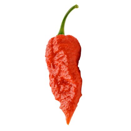 Бхут Джолокия (Bhut Jolokia) - 10 бр. семена