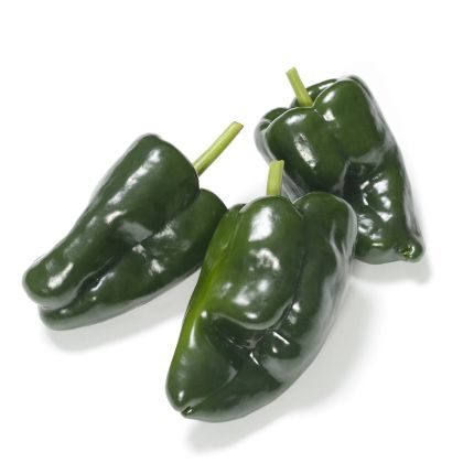 Ancho (Ancho Poblano) - 15 seeds