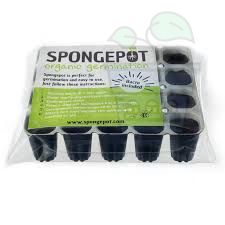 Tava Spongepot 20 buc. ciuperci de înrădăcinare