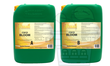 Ferro COCO BLOOM A&B 2x10l.