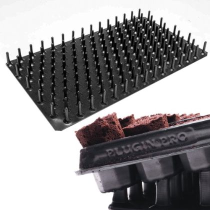 Extraction plate for gentle seedlings removal