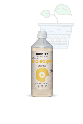 BioBizz Bio - down 1L