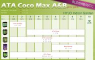 ATAMI Coco Max A+B 2x1л.