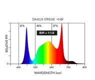 Dimlux Xtreme Series LED 1000W + NIR